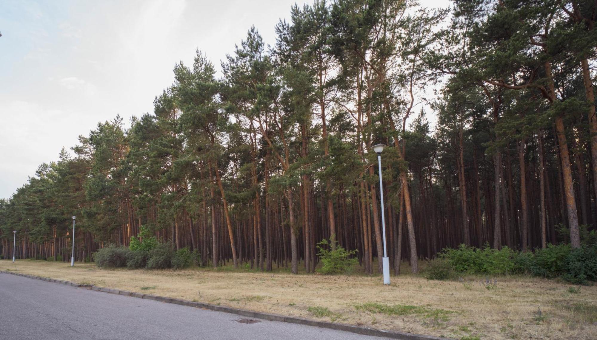 Vila Bite Palanga Buitenkant foto